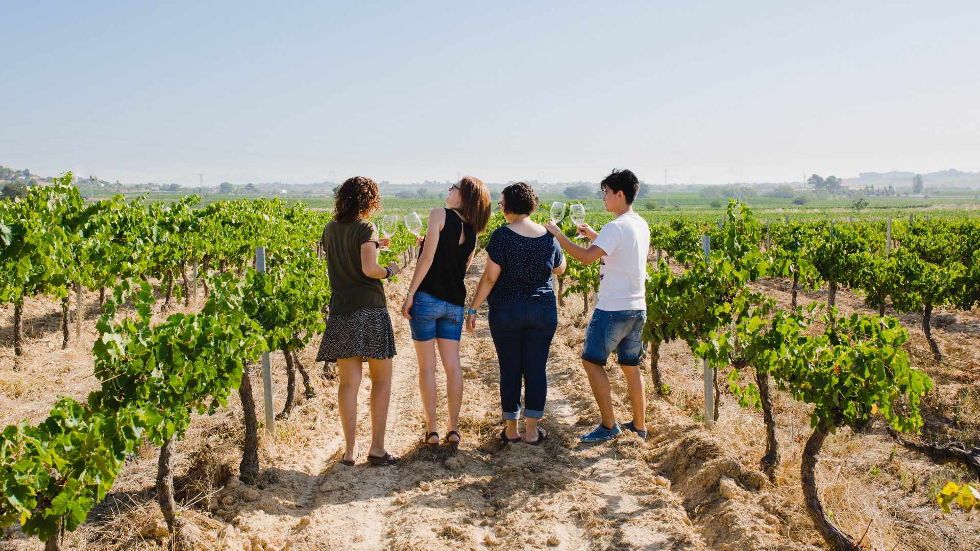 Barcelona-Pares Balta Winery-ok4